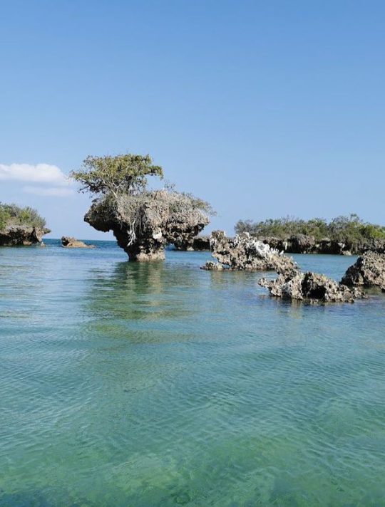 safari_blue_zanzibar_1683742953946721
